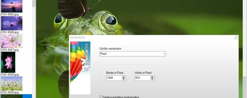 Bildbearbeitungsprogramm Testsieger