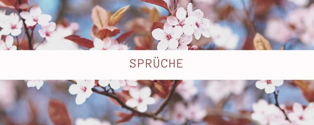 Herzliches Beileid Sprüche